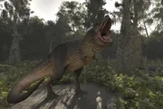Symbolbild eines T-Rex