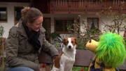 Davina, Hofhund Ilka und OLIÂ