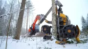 Mit dem Harvesterkopf des finnischen Unternehmens Kesla lassen sich bis zu 100 Bäume pro Stunde ernten.