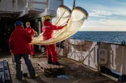 Roland Cornelsen und Julian Reiche, Schiffsmechaniker, bergen das Bongonetz aus einem 50-Meter-Einsatz, um Zooplankton zu sammeln.