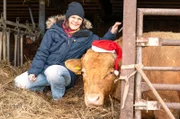 Vorweihnachtliche Stimmung im Stall: Anja Pötting auf dem Vauß-Hof in Salzkotten-Scharmede in Ostwestfalen.