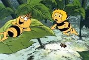 Maja spricht mit Willi über die Fliegenkinder, die unterdessen überlegen, wie sie den Honig von Willi stehlen können.