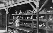 Der Abgrund_Hitler und die Deutschen Untergang 1943 - 1945