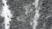 Wie Puderzucker liegt der Schnee auf den Tannen im oberbayerischen Jachenau nahe der österreichischen Grenze.