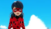 Ladybug