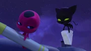 On left: Tikki