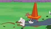 v.li.: Jerry, Tom