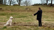 Ein kurzer Moment des Glücks für Gösta (Vilhelm Blomgren).