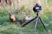 Eine Kamera ist weniger störend für Wildtiere, wenn kein Mensch in nächster Nähe ist.