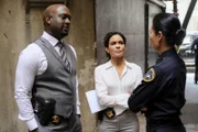 Ausgerechnet als sich Detective Cavanaugh, Detective Ruiz und Deputy Chief Elaine Wu nach einem politisch motivierten Mord hilfesuchend an Tanner wenden, werden Sophe und das Team von einem Cyber Angriff beeinträchtigt.