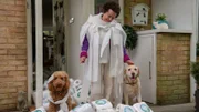 Frau Hobbs beschuldigt Wuffel für das Chaos mit dem Klopapier, dabei war es die gar nicht so brave Hündin Nelly.