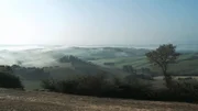 Landschaft