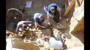 Sensationsfund in Kroatien: 2009 stoßen Archäologen auf einen römischen Streitwagen und Pferdeknochen.