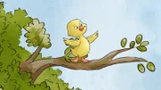 Entchen Alina will jetzt lernen zu fliegen und sorgt für eine Riesenaufregung.