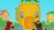 Ernie und Bert möchten gesund bleiben, Elmo und Pferd treiben Sport und Krümelmonster nimmt an einem Wettkampf teil.