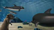 Der Delfin verabschiedet sich von Otter Bobsie und kehrt zu seiner Familie zurück.