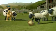 Shaun vor, noch ein Tor!