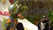 Auch der Wolf versteht den Pinguin nicht.
