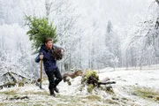 Ohne Weihnachtsbaum läuft nichts. Der grantige Bauer hat Fritz Fuchs (Guido Hammesfahr) sogar eine Hacke geliehen, um einen Baum auf der Alm auszubuddeln.