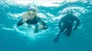 Nina taucht ab, um mehr über Oktopusse im Meer herauszufinden.