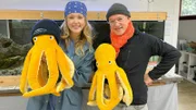 Nina besucht in Kroatien den Oktopus-Forscher Wolfgang, der ein Oktopus-Dorf im Meer aufbaut.