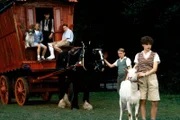 Über die Ziege Gertie lernen die Fünf Freunde Nobby (Ben Brazier, 2.v.li.) kennen (v.li.n.re.: Timmy (Connal), Anne (Laura Petela), Nobby (Ben Brazier), Julian (Marco Williamson), Dick (Paul Child), George (Jemima Rooper).