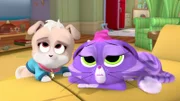 Cupcake, Hissy