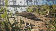 Ein so genannter Tiktaalik verlässt das Wasser und markiert damit einen entscheidenden Schritt in der Evolution, als die Wirbeltiere begannen, das Land zu erobern. Mit seinen flossenartigen Gliedmaßen und dem flachen Schädel gilt der Tiktaalik als Bindeglied zwischen den Fischen und den ersten Landwirbeltieren vor etwa 375 Millionen Jahren.
