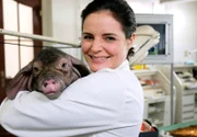 Dr. Susanne Mertens (Elisabeth Lanz) mit ihrem kleinen Schweine-Patienten.