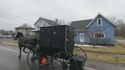 Horse and Buggy