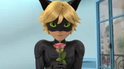 Cat Noir