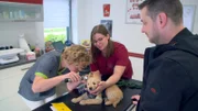 Von Aufregung ist bei dem kleinen Hundemann nichts zu spüren – Aiko ist tiefenentspannt. Tierärztin Julia Liebmann geht beim Welpen-Check sehr behutsam vor, damit der Goldendoodle seinen Antrittsbesuch in der Praxis in allerbester Erinnerung behält.
