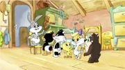 L-R:  Baby Bugs, Baby Daffy, Baby Sylvester, Baby Tweety, Baby Lola, Baby Taz