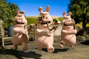 Attacke! Die Schweine sind wieder gar nicht gut auf Shaun zu sprechen.