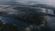 Die einstige Mega-City befindet sich inmitten des Dschungels von Kambodscha.