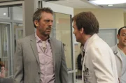 Wilson (Robert Sean Leonard) will eine Diabetiker-Katze adoptieren, während House (Hugh Laurie) Angst hat, dass sich sein bester Freund in eine alte Jungfer verwandelt.