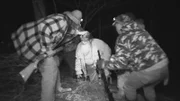 L-R: Huckleberry, Jeff and Wild Bill.