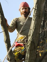 Willy in tree.