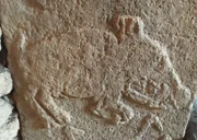 SANLIURFA, TURKEY - A bas-relief of a boar carved into the stone at Göbekli Tepe, a religious sanctuary built by hunter-gatherers for what may have been the world's first religion.