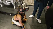 Christian findet es erregend, sich als Puppy, also als Hund, zu verkleiden. Er ist auf der Suche nach einem neuen Herrchen, der ihn im Playroom an die Leine nimmt.