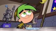 Cosmo
