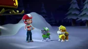 L-R: Ryder, Rocky, Rubble