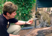 Die blinde Meerkatze Audrey freut sich über die mitgebrachten Erdnüsse!