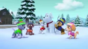 L-R: Rocky, Zuma, Marshall, Chase, Skye