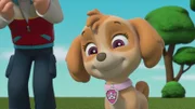 Skye