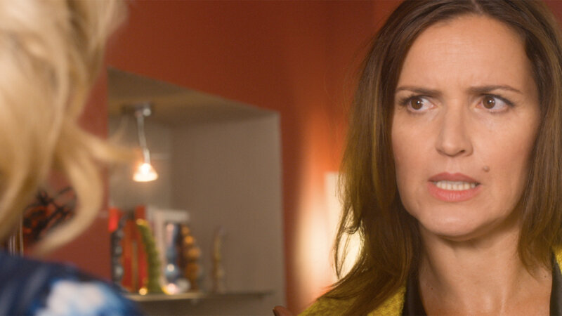 Das kleine Vergnügen (A, 2017)