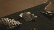Römische Artefakte, die in der Ausgrabungsstätte Carnuntum gefunden wurden, werden in Carnuntum, Österreich, ausgestellt. (Windfall Films/Bianca Zamfira)