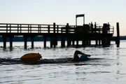 Monika schwimmt im Ammersee.
