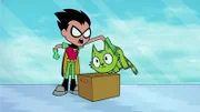 Robin (l.)