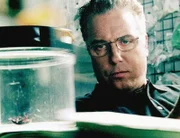 Ein aasfressender Käfer, der sich hauptsächlich von Menschenfleisch ernährt, bringt Gil (William Petersen) auf die richtige Spur: Im Haus verbirgt sich eine Leiche.